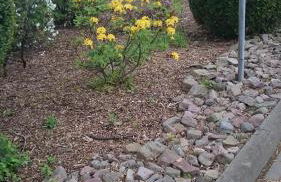 Ferienhaus am Ith - Foto 41