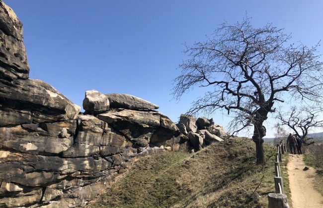 Martina Heydecke Comfortable Holiday Residence - Foto 27