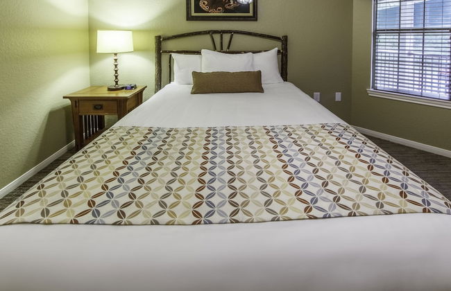 Holiday Inn Club Vacations Villages Resort at Lake Palestine by IHG - Photo 17