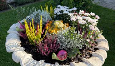 Ziegelhüttenblick -auch für Monteure geeignet - Foto 4