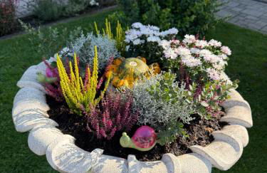 Ziegelhüttenblick -auch für Monteure geeignet - Foto 4