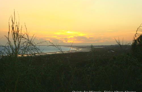 Quinta dos Migueis - Foto 60