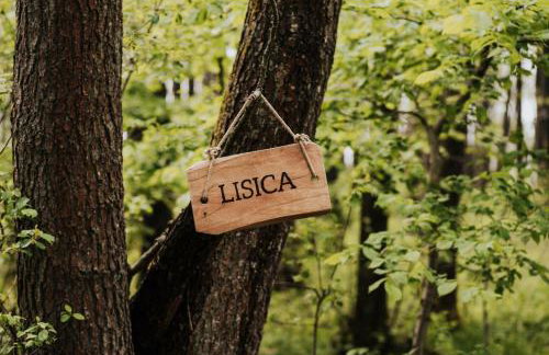 Dziki Las - domki na drzewach - Foto 10