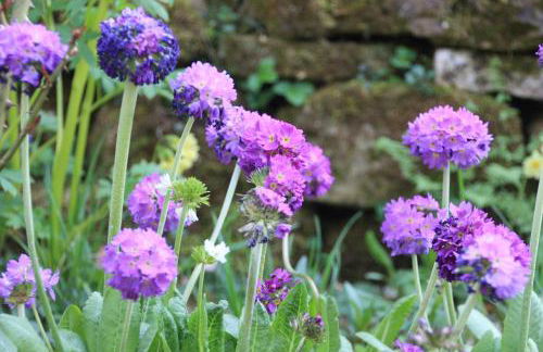 Villa Brodthage, App. 2 - Foto 18