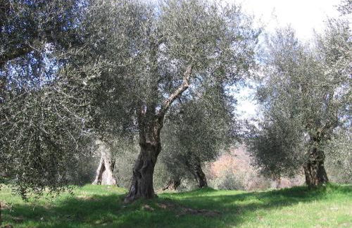 Casa Fioranna - Foto 45