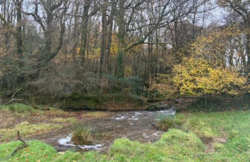 Rosecraddoc Lodge 23 - Photo 19