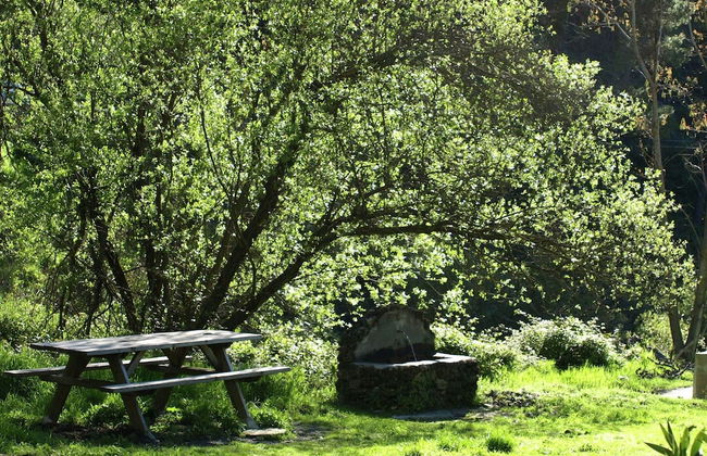 Lovely Cottage in Alcaucín near Sierra Tejeda Natural Park - Foto 43