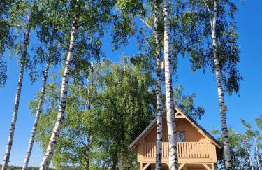 Wiele Żurawi - Foto 1