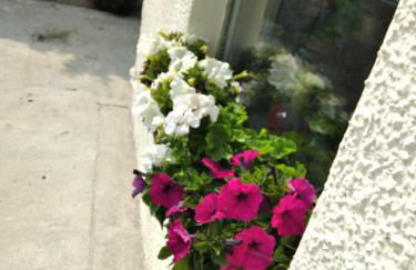 Scorrabrae Orphir Mainland Orkney South Shore Retreat - Photo 47