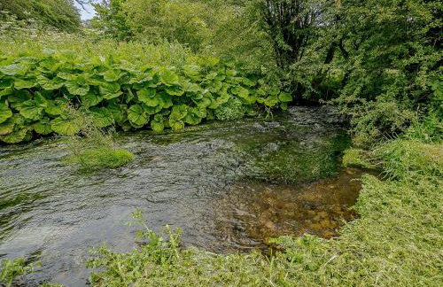 The Water Mill - Photo 39