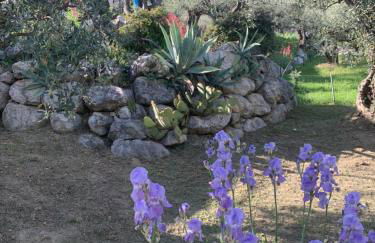 Mas Christiane - Foto 37