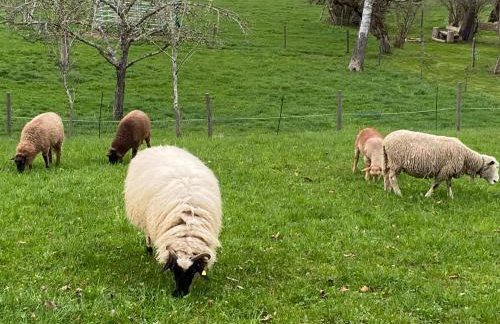 Uptrulli-Minihaus - Photo 34