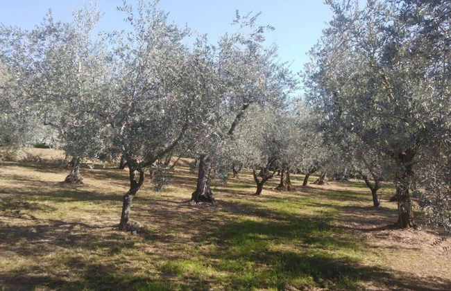 Capannori Playful Cottage - Foto 32