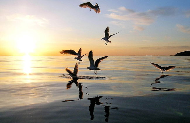 Holiday Home in Lebesby - Foto 13