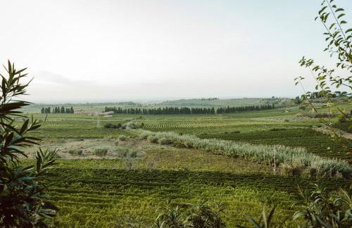 Merumalia Wine Resort - Foto 46