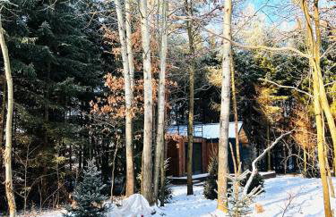 Odpoczynek Domki Pod Dębem z Opcją Jacuzzi - Foto 42