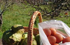 Madeira Island Rustic Mountain Home - Foto 36