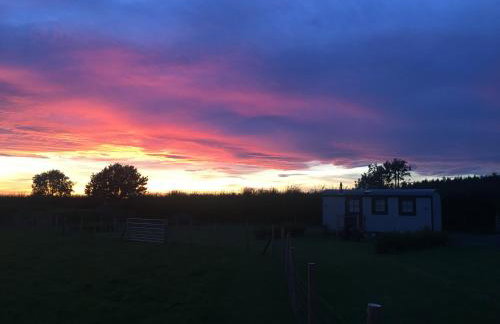 Springwood Shepherd Huts Glamping York - Photo 25