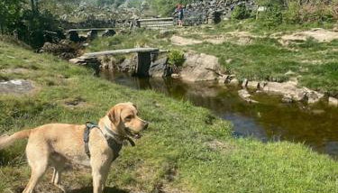 Charming dog-friendly Yorkshire Dales Cottage, Austwick - Foto 3, Other