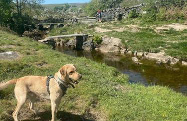 Charming dog-friendly Yorkshire Dales Cottage, Austwick - Foto 3