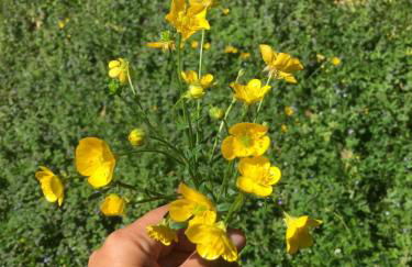 Agriturismo Barchessa - Foto 61