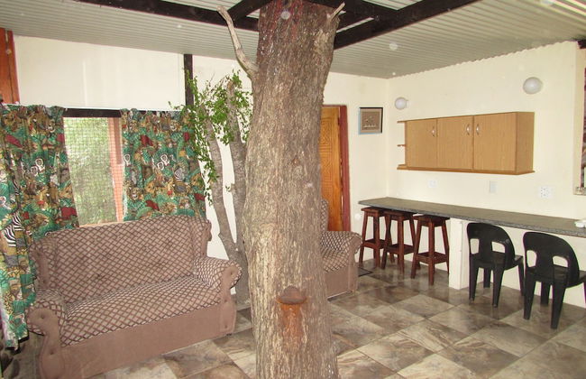 Amazing Tree in Lounge Eco Apartment With Leopards Passing by at Night - Foto 12