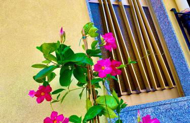 La Casa del Sole - Foto 8