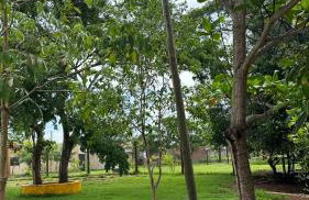 Rancho Piau - Foto 17