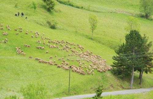 Nature & Adventure Highlights - Foto 7