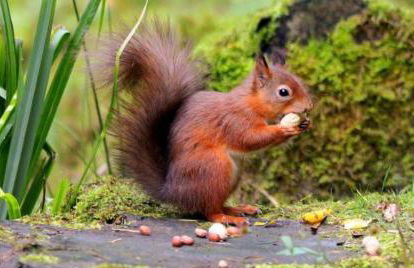 The Orchard House - Foto 72