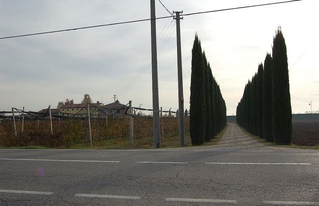 Agriturismo BB Mambrotta - Photo 21