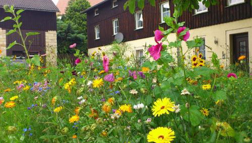 Wohnung in Weibig mit Garten - Foto 2