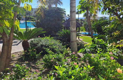 Noctua Flamingos 027 - Photo 26