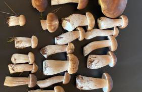 Stodola Rybojady - Foto 42