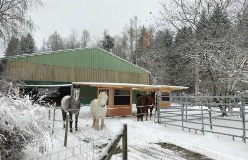 Gite les Baudy - group for 20 people - Foto 38