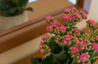 Ammousa Hotel Apartments - Foto 25