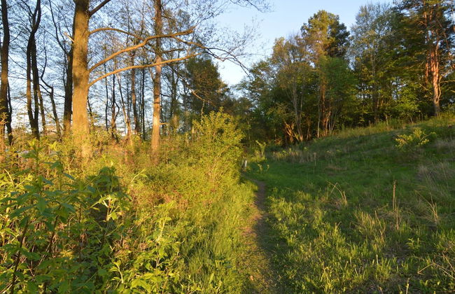 Modern Villa With Sauna, Right Next to the Lake - Photo 36