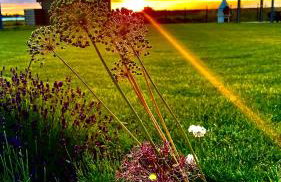 Słoneczna Przystań - Foto 44