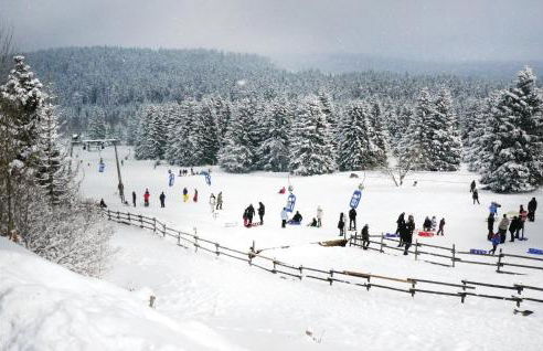 Beautiful Home In Osterode With Kitchen - Foto 22