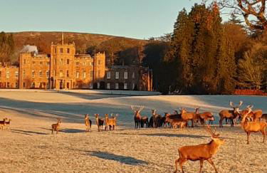 The Burnside Apartment - Foto 13