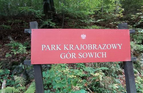 Lawendowe wzgórze - Foto 17