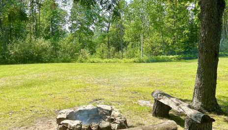 Cozy Private Log Cabin on acreage - Foto 5