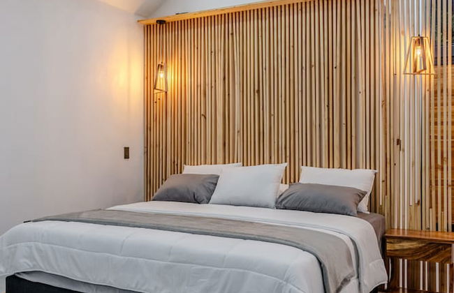 Floresta Monteverde - Foto 5