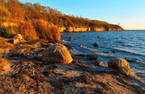 FeWo Pusteblume - Foto 17