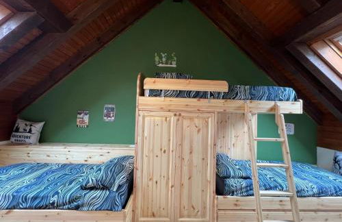 Mandi Mandi in pista - Foto 18