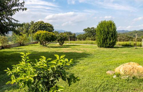 Can Noguer – Casa con piscina y jardín - Photo 44