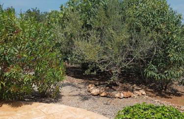 Finca el Gaudi, casita Catharina - Foto 13