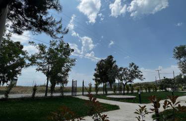 Naiades Villas Aigli - Photo 10