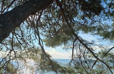 Marine Bliss - Foto 26