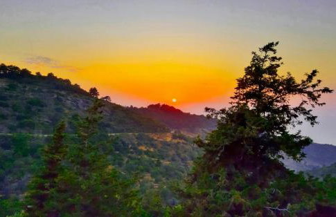 Endless green 1 Arethousa Ikaria - Photo 21